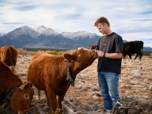 Halter CEO Craig Piggott